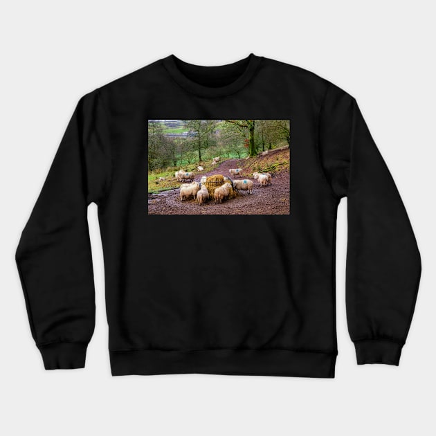 Sheep Feeding in the Brecon Beacons Crewneck Sweatshirt by dasantillo